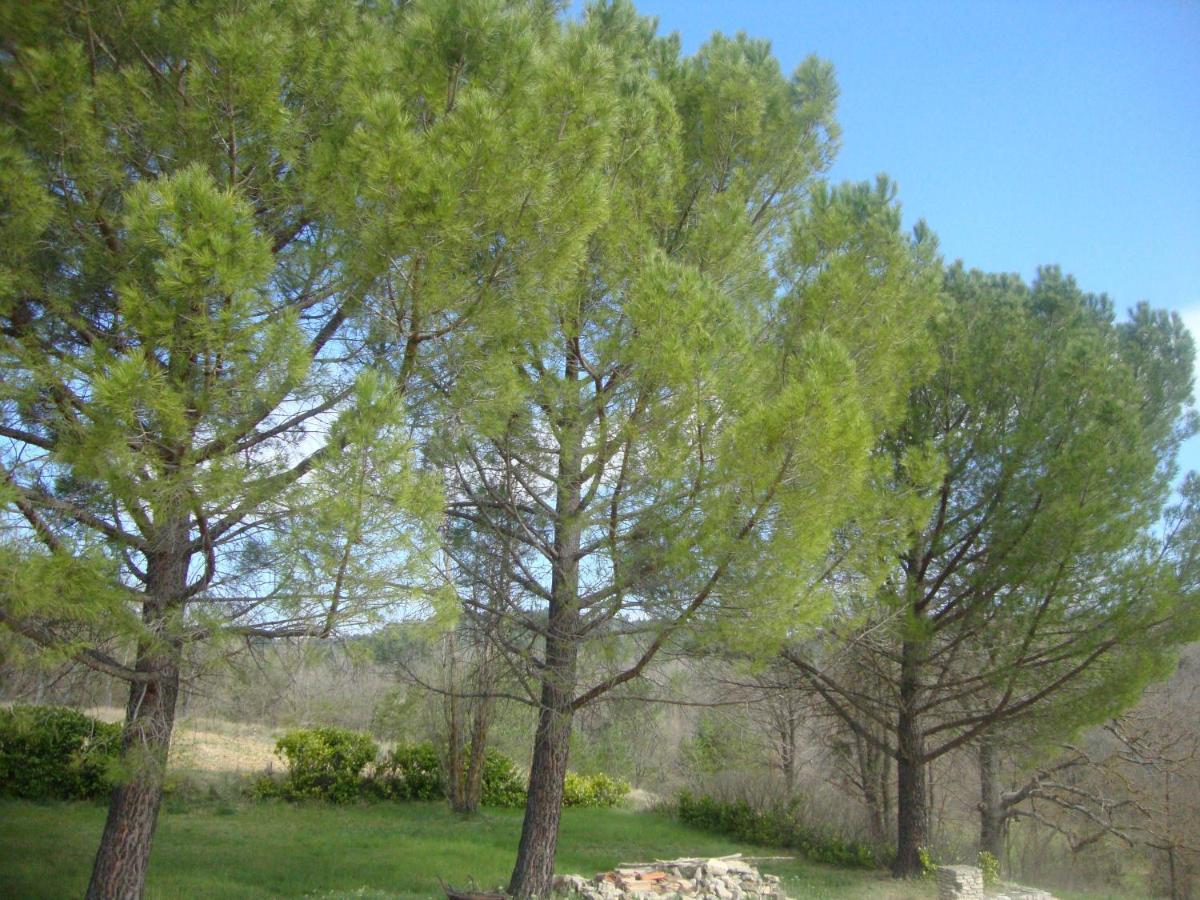 압트 La Croix Du Sud - Ocres En Provence 빌라 외부 사진
